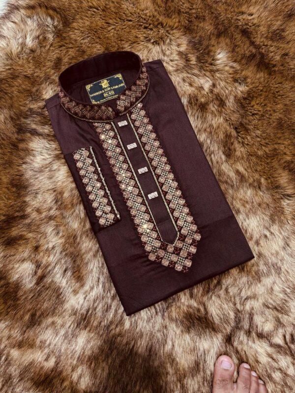 Stylish Panjabi