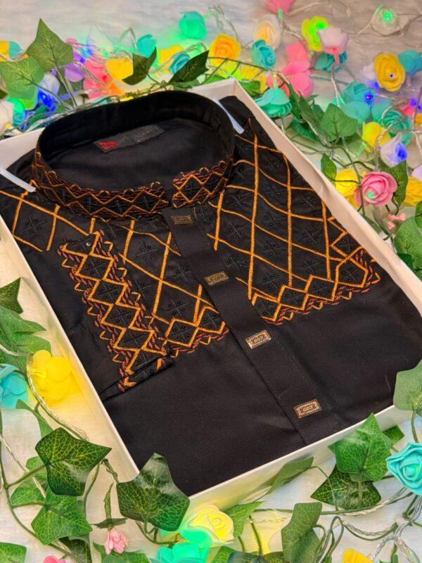 Cotton Embroidery Panjabi