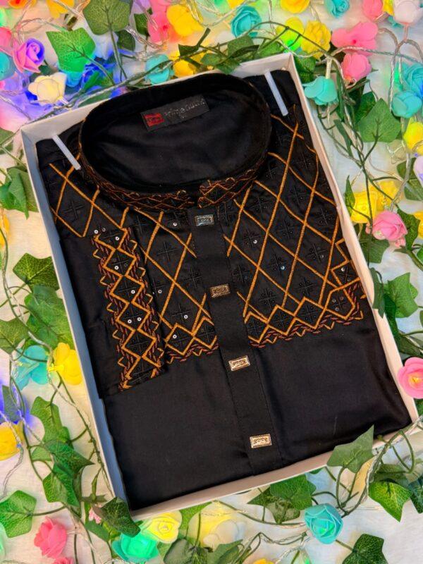 Cotton Embroidery Panjabi