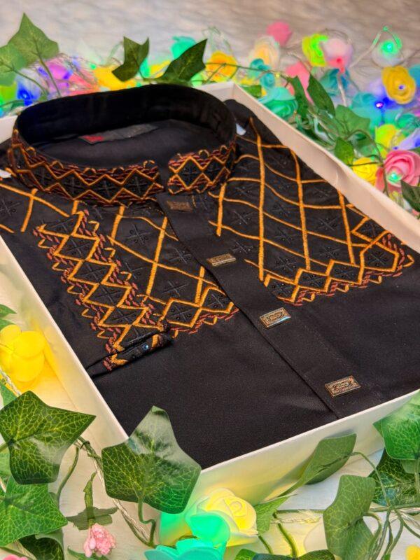 Cotton Embroidery Panjabi