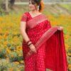 IMG-20250210-WA0123 প্রিমিয়াম জাপানি সিল্ক শাড়ী
