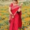 IMG-20250210-WA0125 প্রিমিয়াম জাপানি সিল্ক শাড়ী