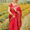 প্রিমিয়াম জাপানি সিল্ক শাড়ী