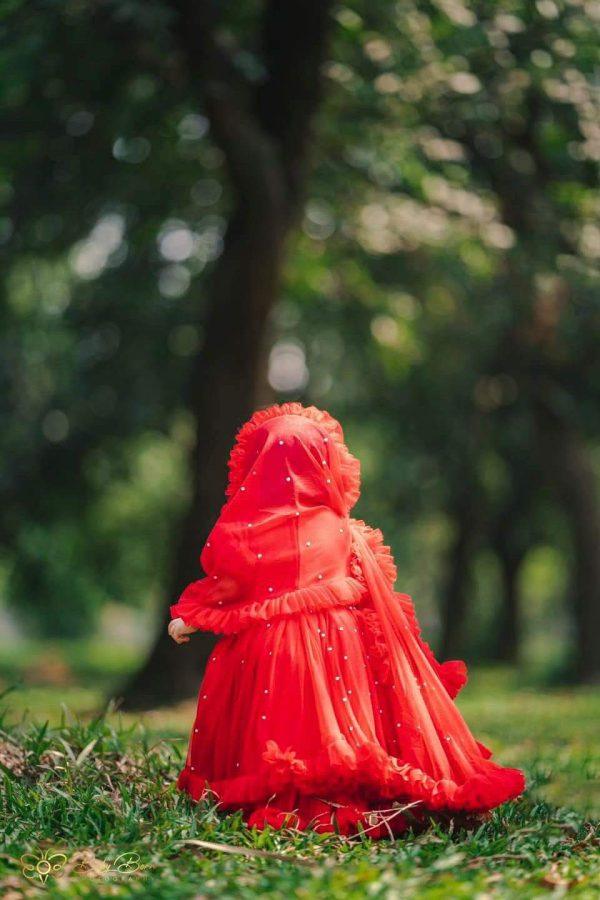 বেবি পার্টি ড্রেস