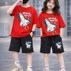 Drop Shoulder Baby TShirt and Pant Set